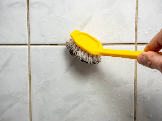 Best Mold Remediation for Specific Building Types in Waco, TX