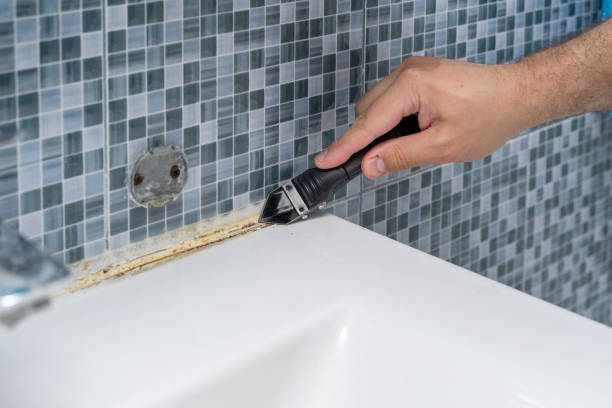 Best White Mold Remediation in Waco, TX